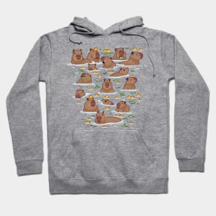 Bathing Capybara Hoodie